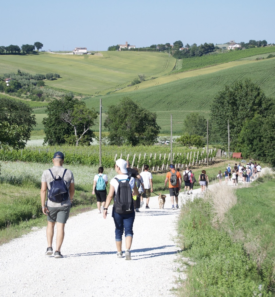 Persone che camminano insieme su un percorso naturalistico